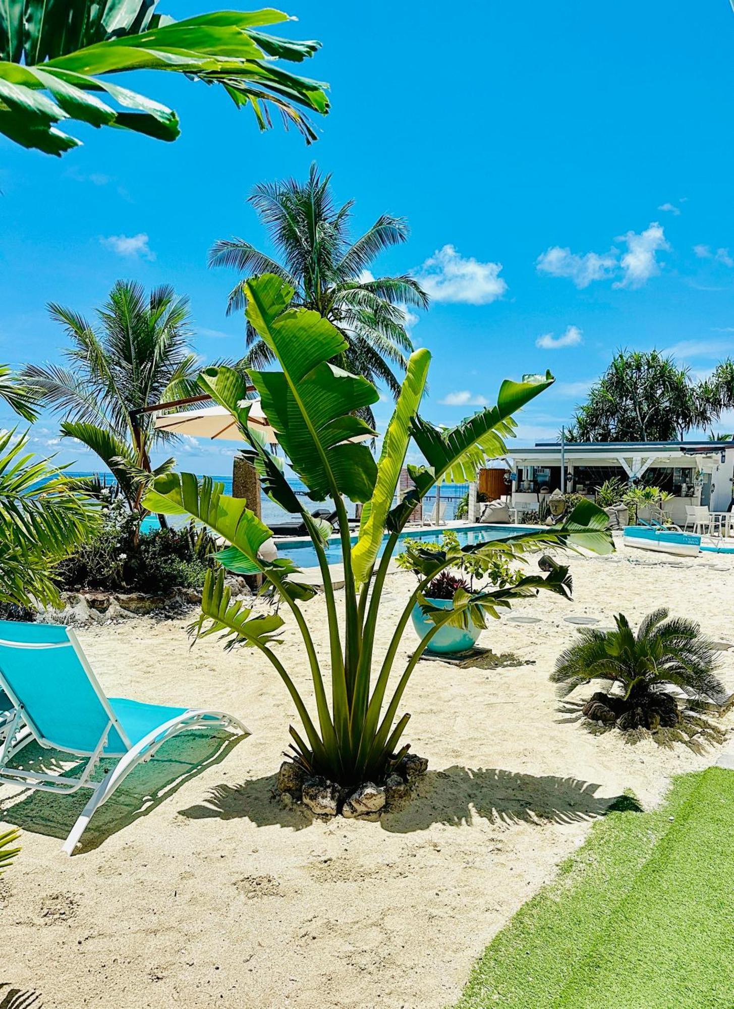 Pension Irivai Appartement Puatou 1 Chambre Bord De Mer أوتوروا المظهر الخارجي الصورة