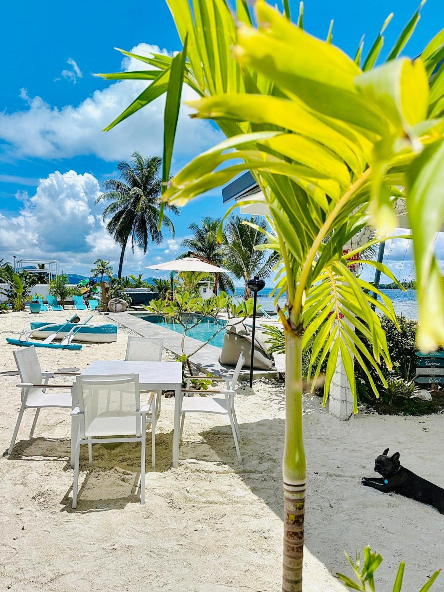 Pension Irivai Appartement Puatou 1 Chambre Bord De Mer أوتوروا المظهر الخارجي الصورة